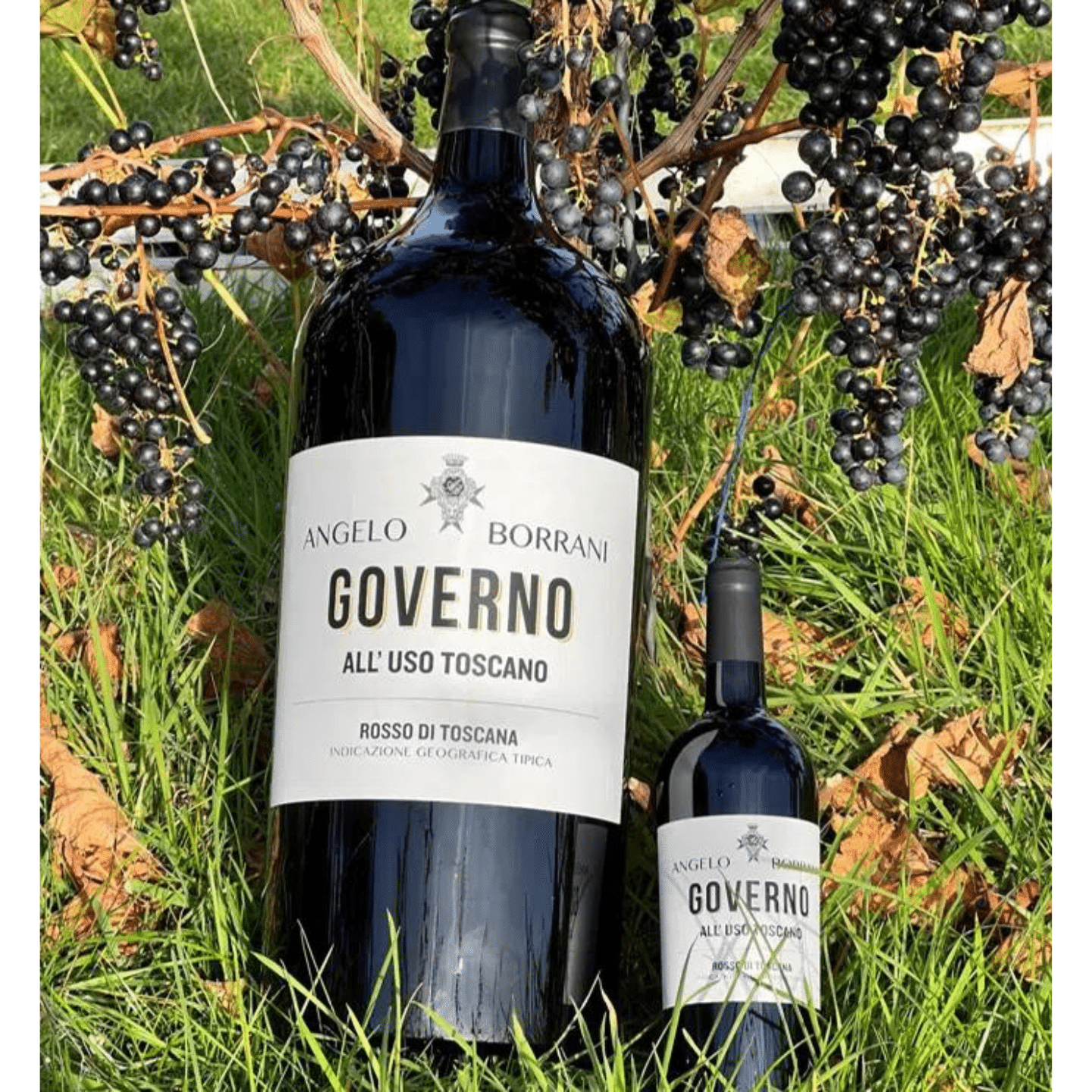 Angelo Borrani Governo Rosso Di Toscana 2019 - 9 Liter