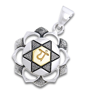 Chakra Vedhæng - Anahata Hjertechakra - 31mm U/kæde